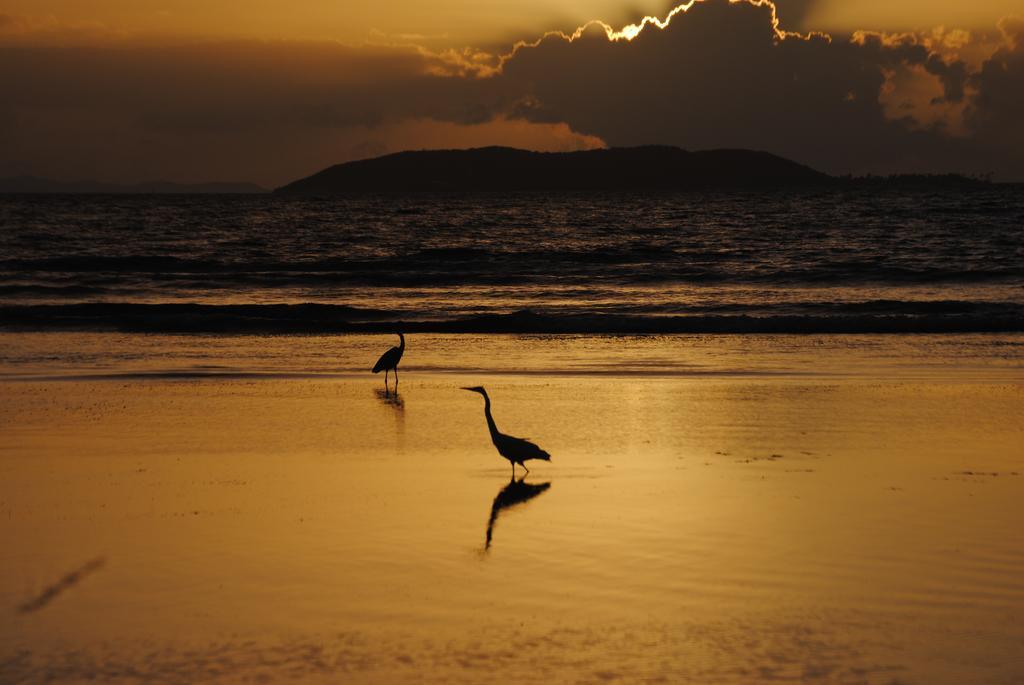 Fajardo Peaceful Place Playa Sardinera Exterior photo
